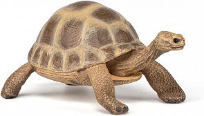 Фигурка Черепаха Германа (Papo, 50264)